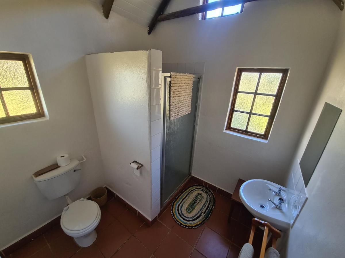 Bed and Breakfast Tower Of Pizza Ethels Drive Esterno foto